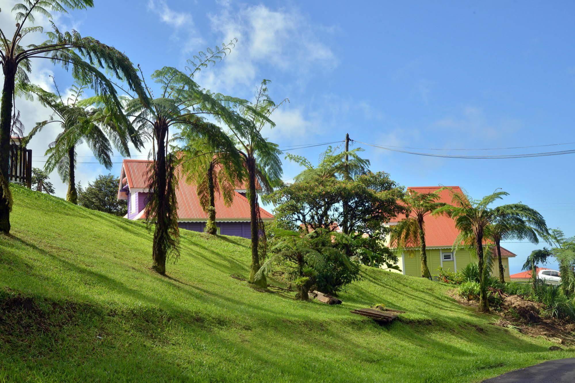 Auberge De La Montagne Pelee Hotel Saint-Pierre Eksteriør bilde